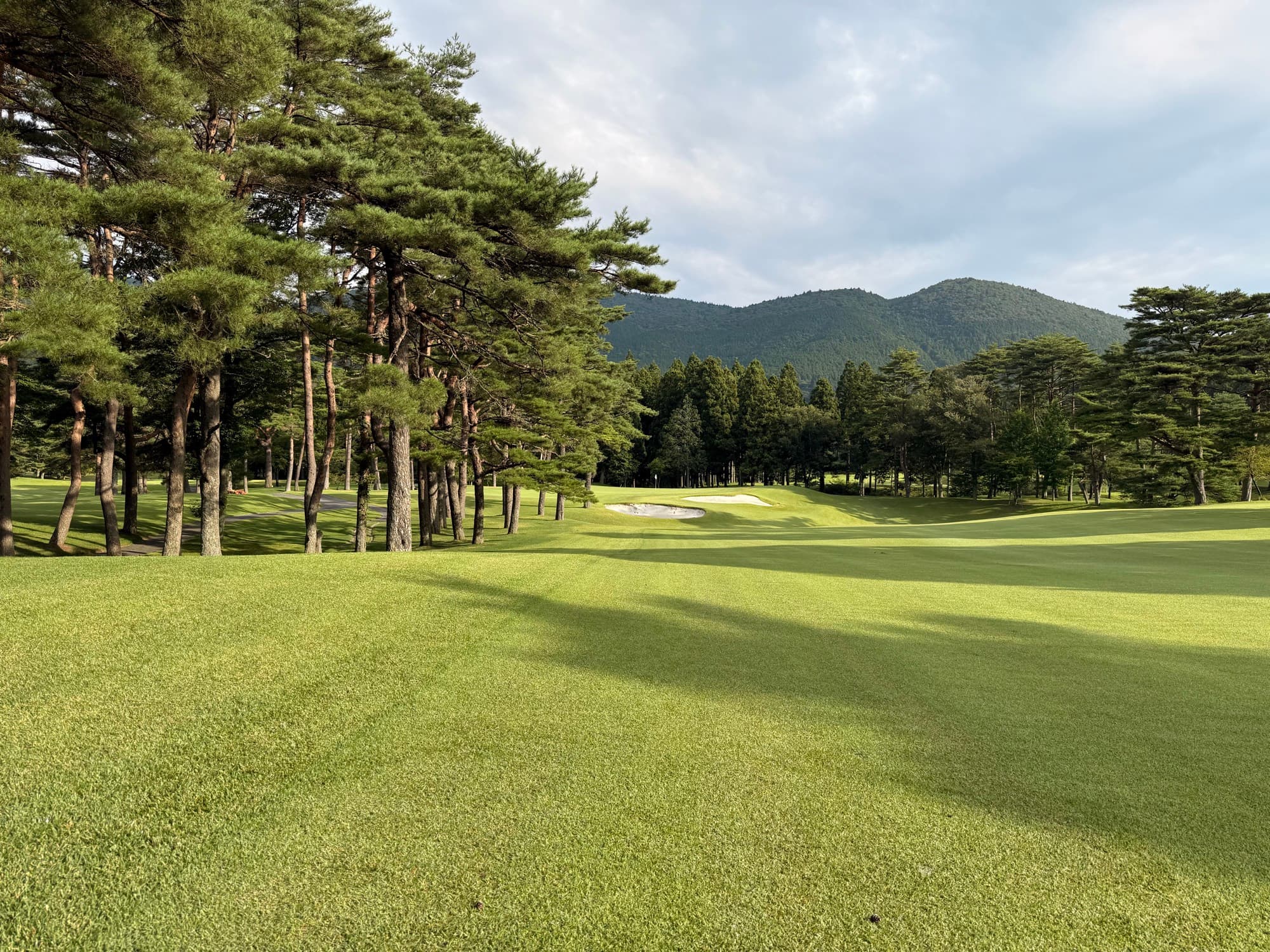 The opening fairway cut through red pine