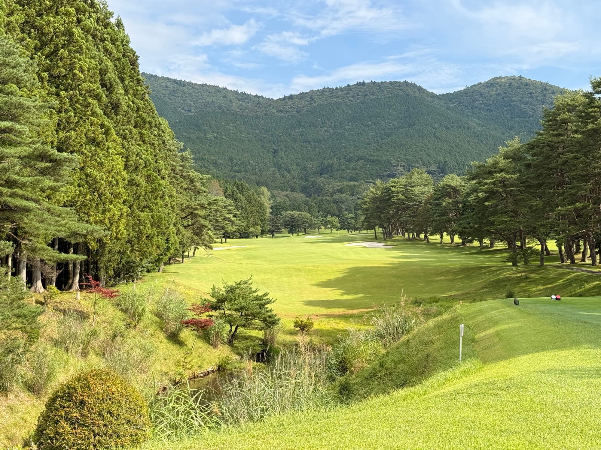The land falling away into a broad, tree-framed valley