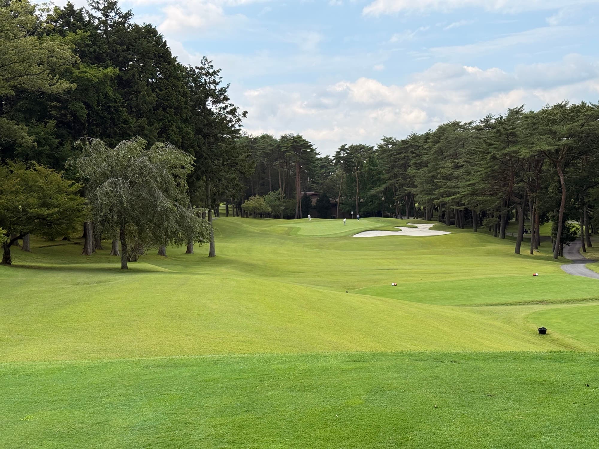The back nine climbing back into the pines
