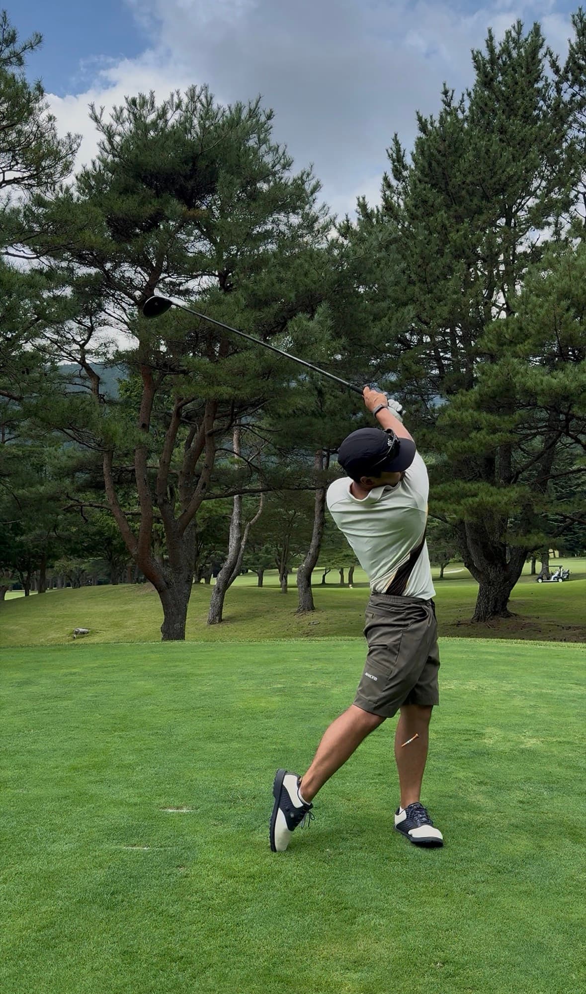 A full swing beneath a red pine