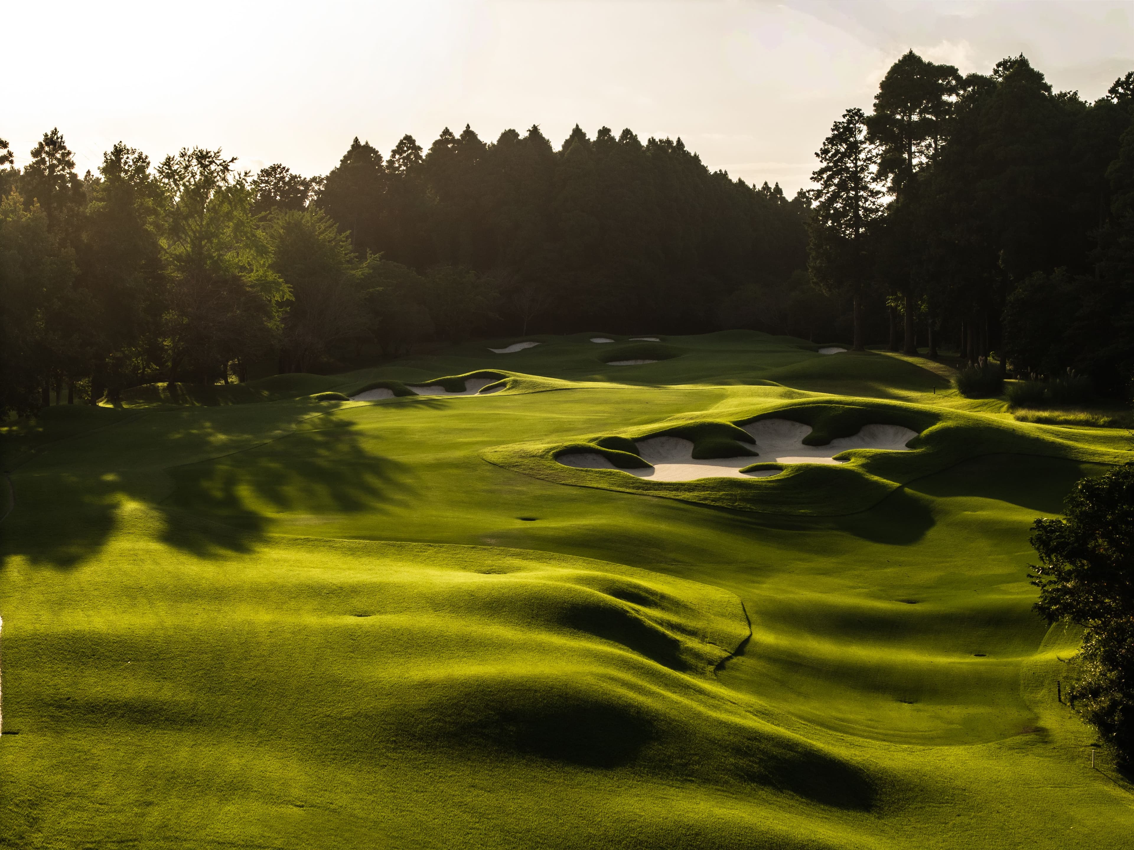 sunset at Caledonian golf club in Chiba